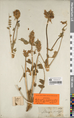 LE 01051470