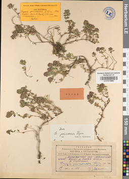 LE 01013860