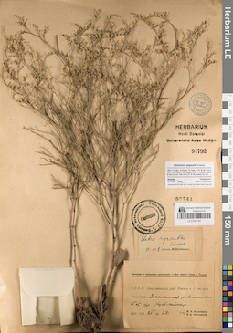 LE 01047793