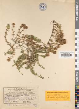 LE 01013861