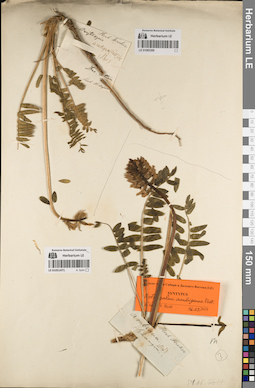 LE 01083350