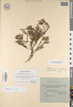 LE 01017944