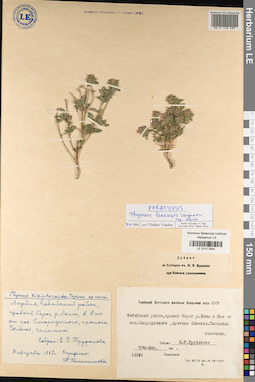 LE 01017945