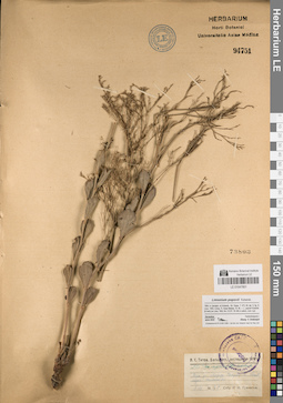 LE 01047801