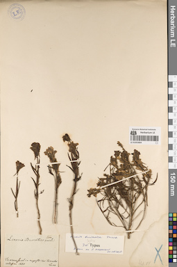 LE 01053804