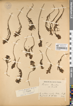 LE 01053809