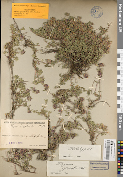 LE 01081218