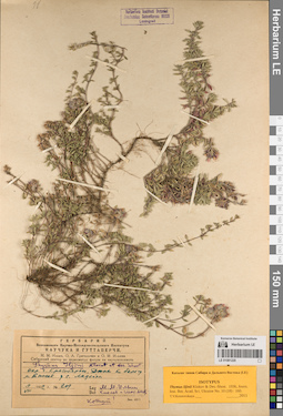 LE 01081220