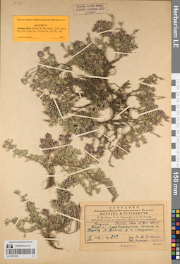 LE 01081222