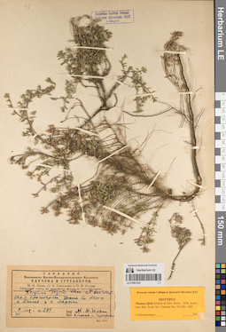 LE 01081224