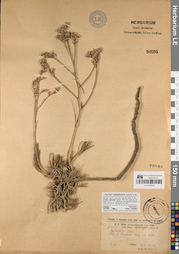 LE 01047818
