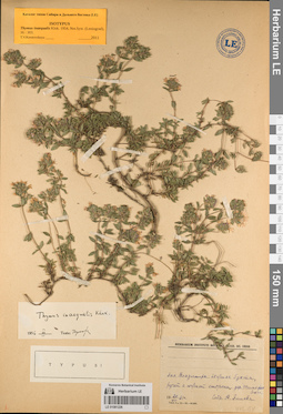 LE 01081226