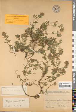 LE 01081227