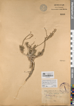 LE 01047819