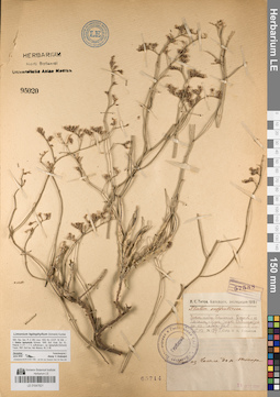 LE 01047821