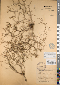 LE 01047824