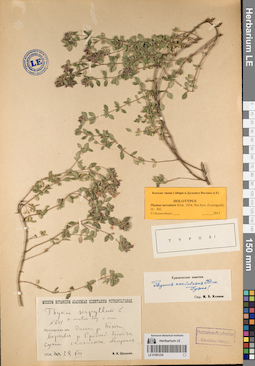LE 01081234