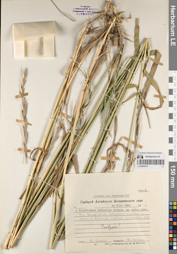 LE 00054151