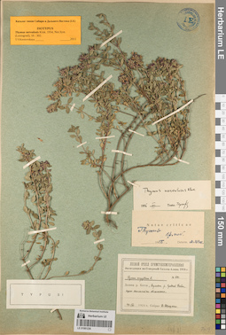 LE 01081236