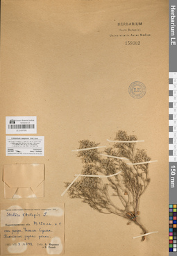 LE 01047830