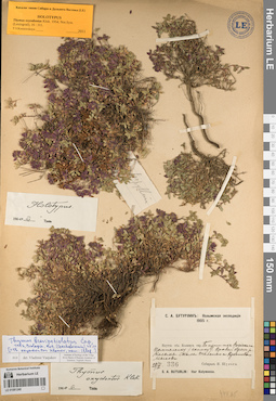 LE 01081240