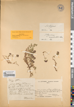 LE 01081241