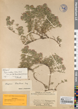 LE 01081242