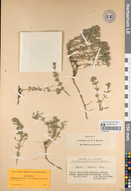 LE 01081243