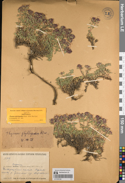 LE 01081244