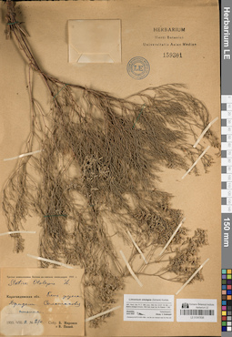 LE 01047836