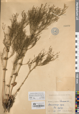 LE 01047837