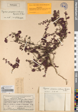 LE 01081247