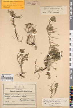 LE 01081248