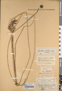 LE 00054166