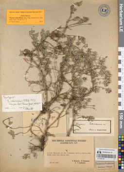 LE 01081249