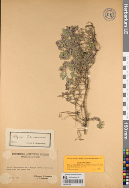 LE 01081250