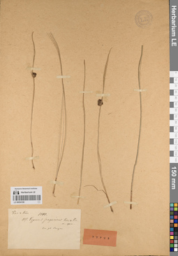 LE 00054168