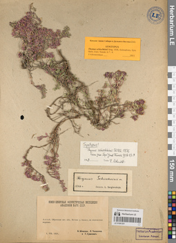 LE 01081251