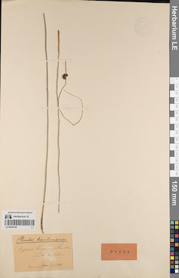 LE 00054169