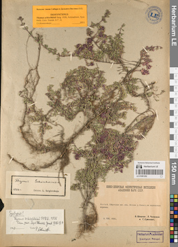 LE 01081252
