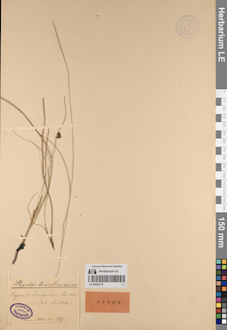 LE 00054170