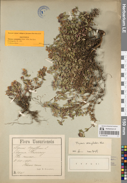 LE 01081254