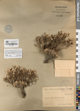 LE 01047851
