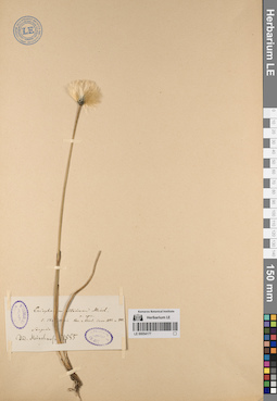 LE 00054177