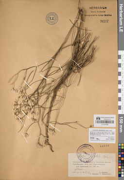 LE 01047855