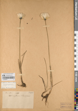 LE 00054187