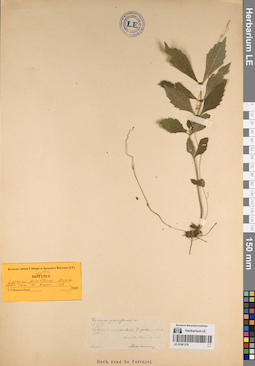 LE 01081276