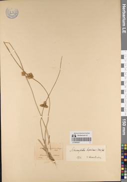 LE 00054201