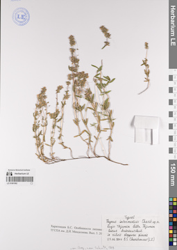 LE 01081992