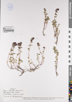 LE 01081993